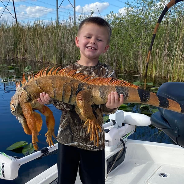 Iguana Hunting Florida