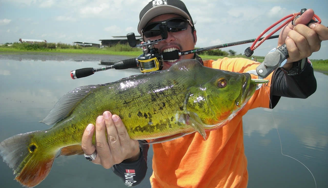 Peacock bass fishing near everglades