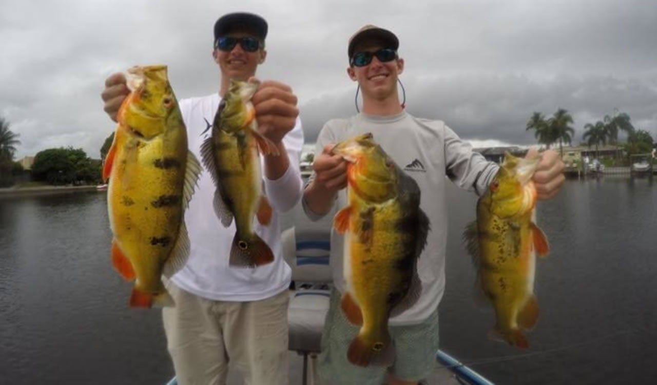 Peacock bass fishing outside near Everglades