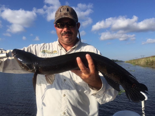 everglades-bass-fishing